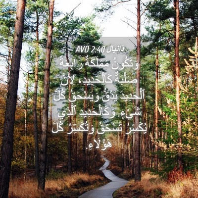 Picture 04 - دَانِيآل 2:40 AVD - وَتَكُونُ مَمْلَكَةٌ - Bible Verse Picture