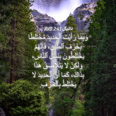 Picture 04 - دَانِيآل 2:43 AVD - وَبِمَا رَأَيْتَ - Bible Verse Picture