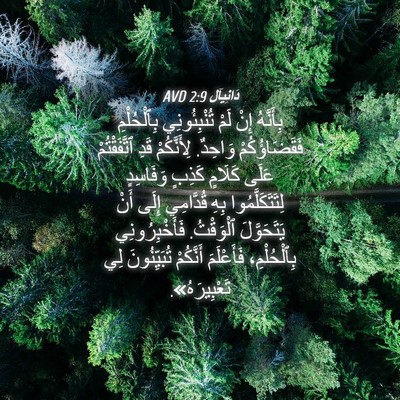 Picture 04 - دَانِيآل 2:9 AVD - بِأَنَّهُ إِنْ لَمْ - Bible Verse Picture