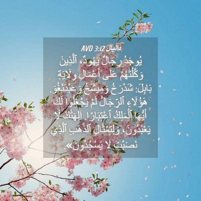 Picture 04 - دَانِيآل 3:12 AVD - يُوجَدُ رِجَالٌ يَهُودٌ، - Bible Verse Picture