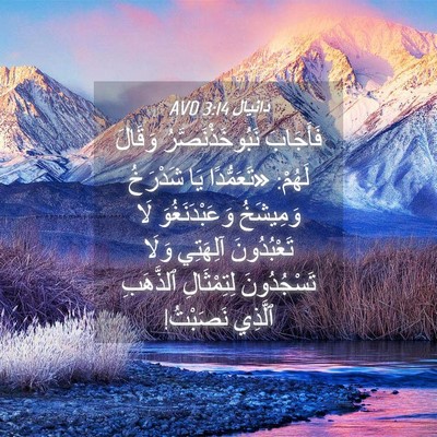 Picture 04 - دَانِيآل 3:14 AVD - فَأَجَابَ - Bible Verse Picture