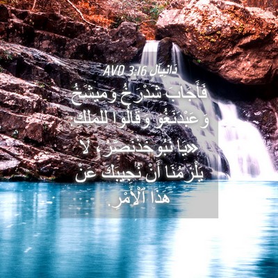 Picture 04 - دَانِيآل 3:16 AVD - فَأَجَابَ شَدْرَخُ - Bible Verse Picture