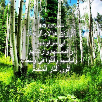 Picture 04 - دَانِيآل 3:21 AVD - ثُمَّ أُوثِقَ هَؤُلَاءِ - Bible Verse Picture