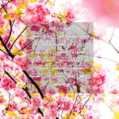 Picture 04 - دَانِيآل 3:3 AVD - حِينَئِذٍ ٱجْتَمَعَ - Bible Verse Picture