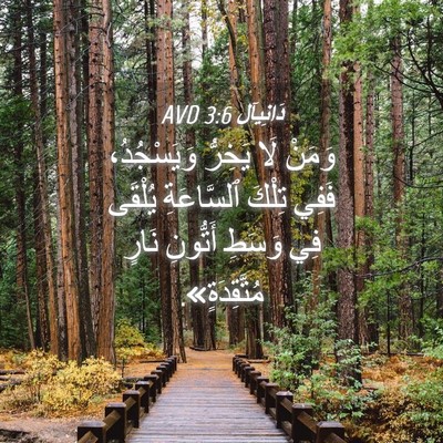 Picture 04 - دَانِيآل 3:6 AVD - وَمَنْ لَا يَخِرُّ - Bible Verse Picture