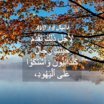 Picture 04 - دَانِيآل 3:8 AVD - لِأَجْلِ ذَلِكَ تَقَدَّمَ - Bible Verse Picture