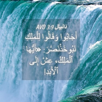 Picture 04 - دَانِيآل 3:9 AVD - أَجَابُوا وَقَالُوا - Bible Verse Picture
