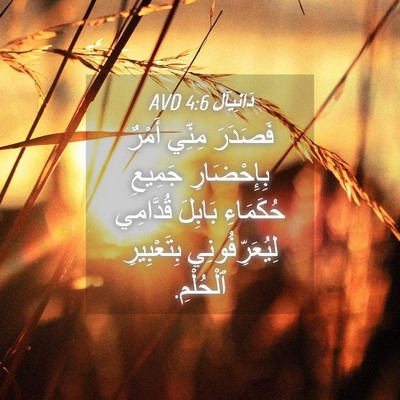 Picture 04 - دَانِيآل 4:6 AVD - فَصَدَرَ مِنِّي أَمْرٌ - Bible Verse Picture