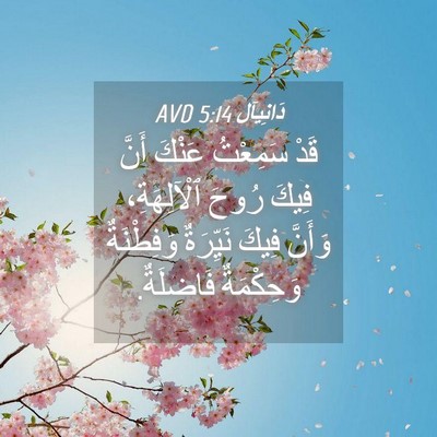 Picture 04 - دَانِيآل 5:14 AVD - قَدْ سَمِعْتُ عَنْكَ أَنَّ - Bible Verse Picture