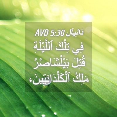 Picture 04 - دَانِيآل 5:30 AVD - فِي تِلْكَ ٱللَّيْلَةِ - Bible Verse Picture