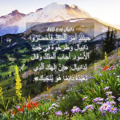 Picture 04 - دَانِيآل 6:16 AVD - حِينَئِذٍ أَمَرَ - Bible Verse Picture