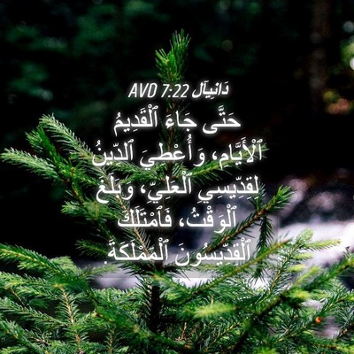 Picture 04 - دَانِيآل 7:22 AVD - حَتَّى جَاءَ ٱلْقَدِيمُ - Bible Verse Picture