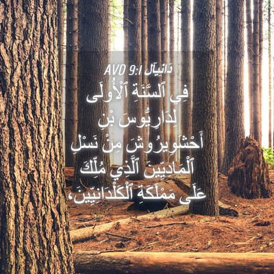 Picture 04 - دَانِيآل 9:1 AVD - فِي ٱلسَّنَةِ ٱلْأُولَى - Bible Verse Picture