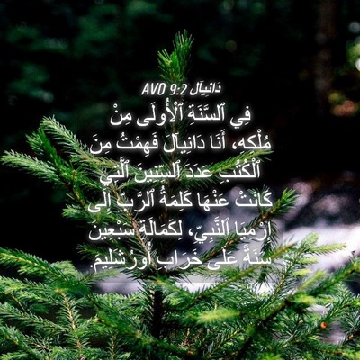 Picture 04 - دَانِيآل 9:2 AVD - فِي ٱلسَّنَةِ ٱلْأُولَى - Bible Verse Picture
