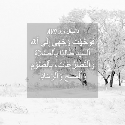 Picture 04 - دَانِيآل 9:3 AVD - فَوَجَّهْتُ وَجْهِي إِلَى - Bible Verse Picture