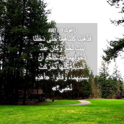 Picture 04 - رَاعُوث 1:19 AVD - فَذَهَبَتَا كِلْتَاهُمَا - Bible Verse Picture