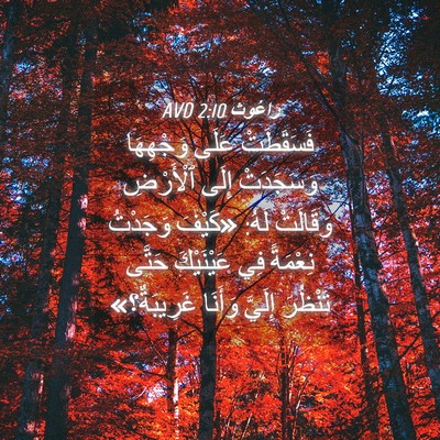 Picture 04 - رَاعُوث 2:10 AVD - فَسَقَطَتْ عَلَى - Bible Verse Picture