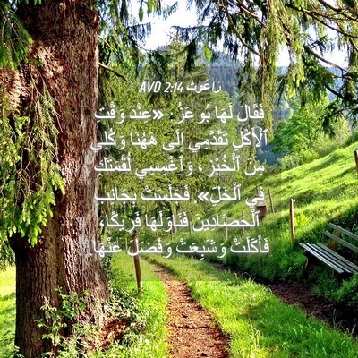 Picture 04 - رَاعُوث 2:14 AVD - فَقَالَ لَهَا بُوعَزُ: - Bible Verse Picture