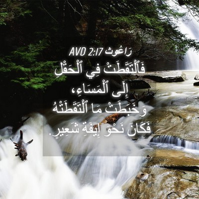 Picture 04 - رَاعُوث 2:17 AVD - فَٱلْتَقَطَتْ فِي - Bible Verse Picture