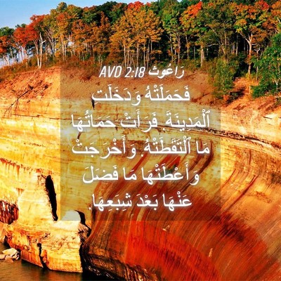 Picture 04 - رَاعُوث 2:18 AVD - فَحَمَلَتْهُ وَدَخَلَتِ - Bible Verse Picture