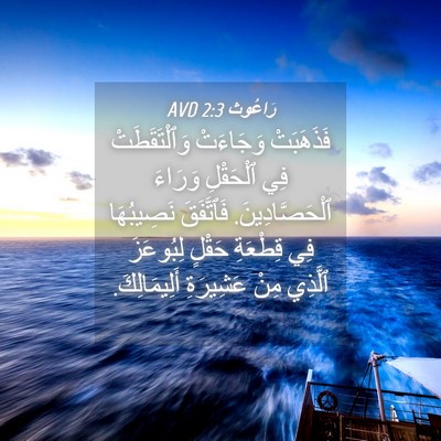 Picture 04 - رَاعُوث 2:3 AVD - فَذَهَبَتْ وَجَاءَتْ - Bible Verse Picture