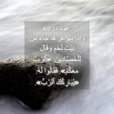 Picture 04 - رَاعُوث 2:4 AVD - وَإِذَا بِبُوعَزَ قَدْ - Bible Verse Picture