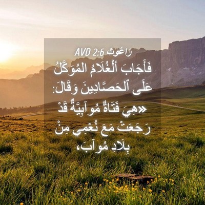 Picture 04 - رَاعُوث 2:6 AVD - فَأَجَابَ ألْغُلَامُ - Bible Verse Picture