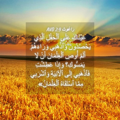 Picture 04 - رَاعُوث 2:9 AVD - عَيْنَاكِ عَلَى ٱلْحَقْلِ - Bible Verse Picture