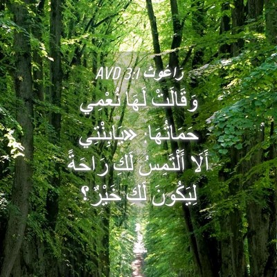 Picture 04 - رَاعُوث 3:1 AVD - وَقَالَتْ لَهَا نُعْمِي - Bible Verse Picture