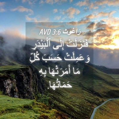 Picture 04 - رَاعُوث 3:6 AVD - فَنَزَلَتْ إِلَى - Bible Verse Picture