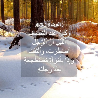 Picture 04 - رَاعُوث 3:8 AVD - وَكَانَ عِنْدَ ٱنْتِصَافِ - Bible Verse Picture