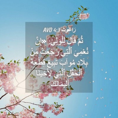Picture 04 - رَاعُوث 4:3 AVD - ثُمَّ قَالَ لِلْوَلِيِّ: - Bible Verse Picture
