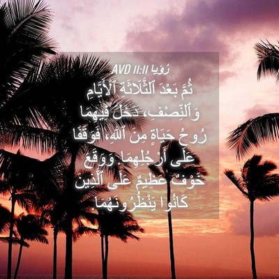 Picture 04 - رُؤيا 11:11 AVD - ثُمَّ بَعْدَ ٱلثَّلَاثَةِ - Bible Verse Picture