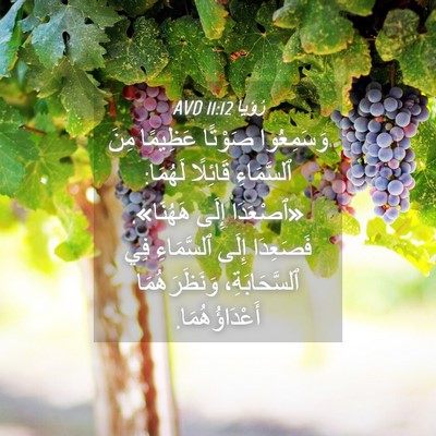 Picture 04 - رُؤيا 11:12 AVD - وَسَمِعُوا صَوْتًا - Bible Verse Picture