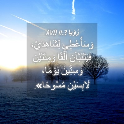 Picture 04 - رُؤيا 11:3 AVD - وَسَأُعْطِي لِشَاهِدَيَّ، - Bible Verse Picture