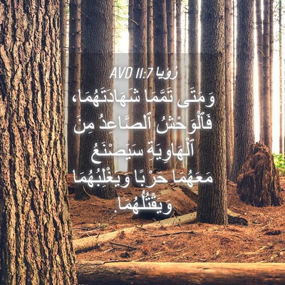 Picture 04 - رُؤيا 11:7 AVD - وَمَتَى تَمَّمَا - Bible Verse Picture