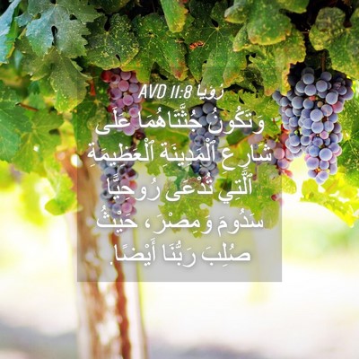 Picture 04 - رُؤيا 11:8 AVD - وَتَكُونُ جُثَّتَاهُمَا - Bible Verse Picture