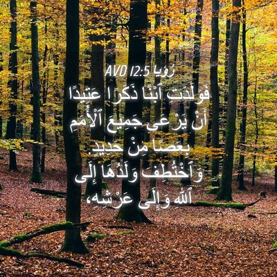 Picture 04 - رُؤيا 12:5 AVD - فَوَلَدَتِ ٱبْنًا ذَكَرًا - Bible Verse Picture