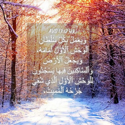 Picture 04 - رُؤيا 13:12 AVD - وَيَعْمَلُ بِكُلِّ - Bible Verse Picture