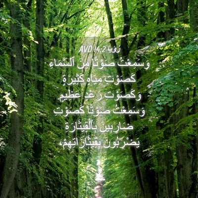 Picture 04 - رُؤيا 14:2 AVD - وَسَمِعْتُ صَوْتًا مِنَ - Bible Verse Picture