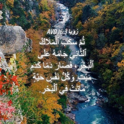 Picture 04 - رُؤيا 16:3 AVD - ثُمَّ سَكَبَ ٱلْمَلَاكُ - Bible Verse Picture