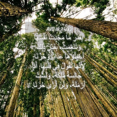 Picture 04 - رُؤيا 18:7 AVD - بِقَدْرِ مَا مَجَّدَتْ - Bible Verse Picture