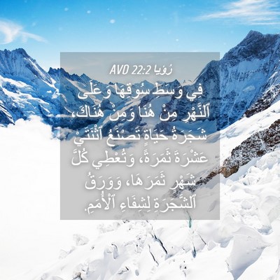 Picture 04 - رُؤيا 22:2 AVD - فِي وَسَطِ سُوقِهَا - Bible Verse Picture