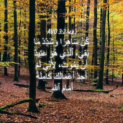 Picture 04 - رُؤيا 3:2 AVD - كُنْ سَاهِرًا وَشَدِّدْ - Bible Verse Picture