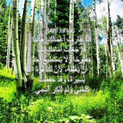 Picture 04 - رُؤيا 3:8 AVD - أَنَا عَارِفٌ أَعْمَالَكَ. - Bible Verse Picture