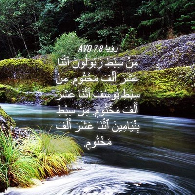 Picture 04 - رُؤيا 7:8 AVD - مِنْ سِبْطِ زَبُولُونَ - Bible Verse Picture