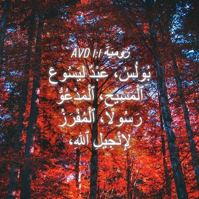 Picture 04 - رُومِيَةَ 1:1 AVD - بُولُسُ، عَبْدٌ لِيَسُوعَ - Bible Verse Picture