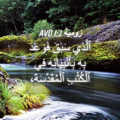 Picture 04 - رُومِيَةَ 1:2 AVD - ٱلَّذِي سَبَقَ فَوَعَدَ - Bible Verse Picture