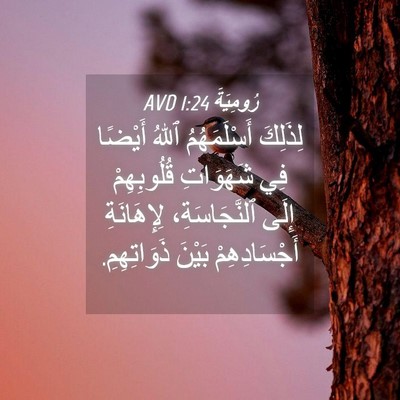 Picture 04 - رُومِيَةَ 1:24 AVD - لِذَلِكَ أَسْلَمَهُمُ - Bible Verse Picture