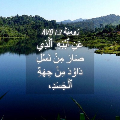 Picture 04 - رُومِيَةَ 1:3 AVD - عَنِ ٱبْنِهِ. ٱلَّذِي - Bible Verse Picture